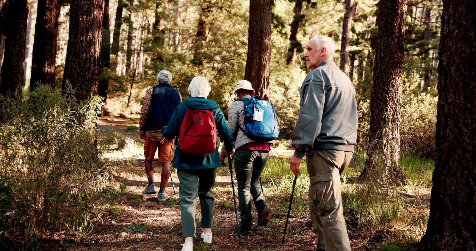 hiking,,walking,and,back,of,elderly,people,in,forest,for